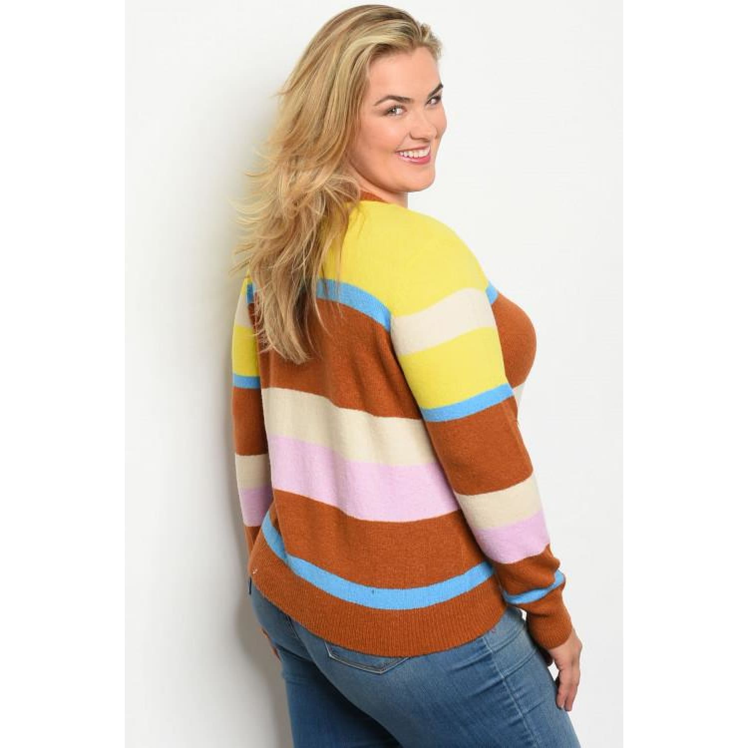 Multi Stripe Plus Sweater Top - TOPS