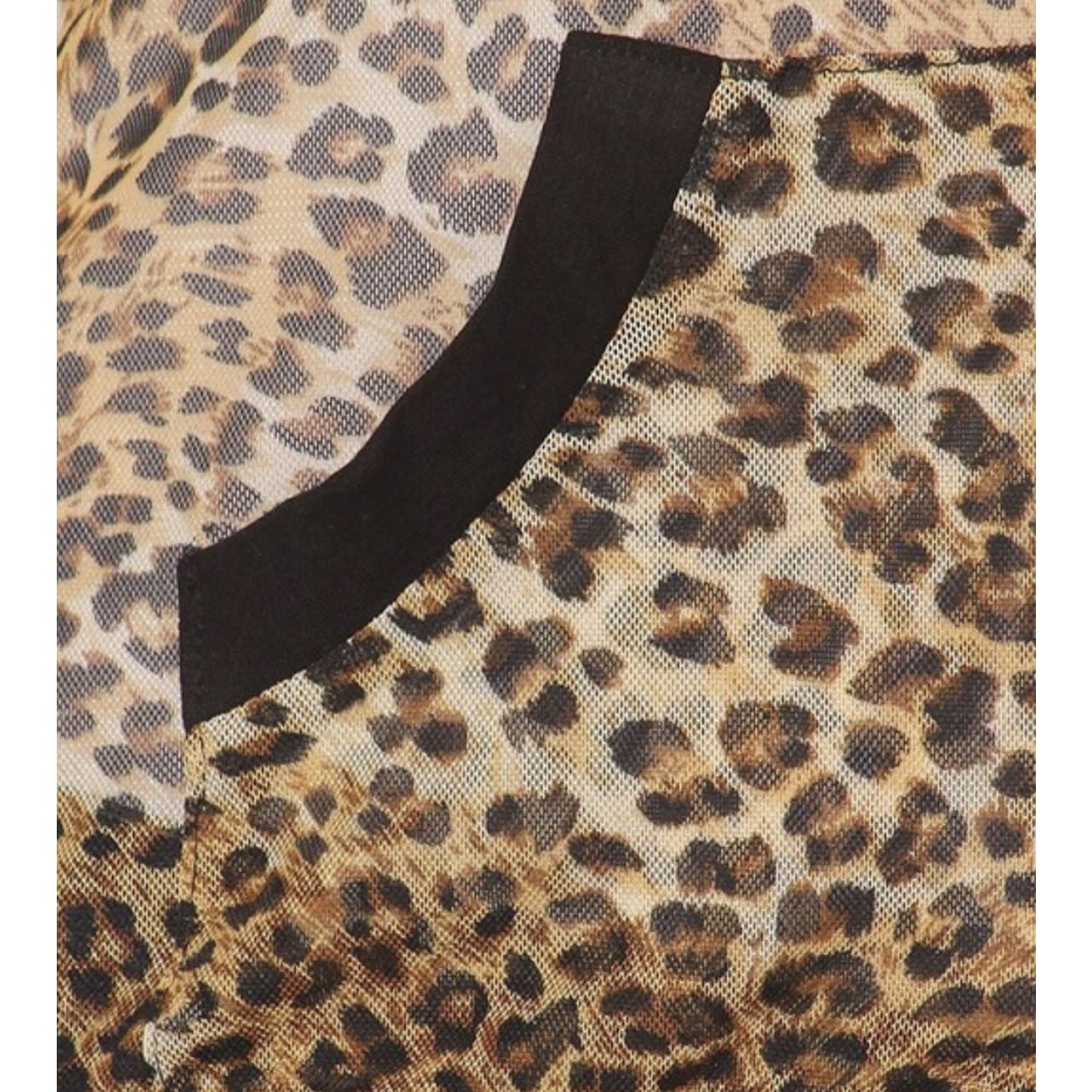 Sheer Mesh Cheetah Jacket